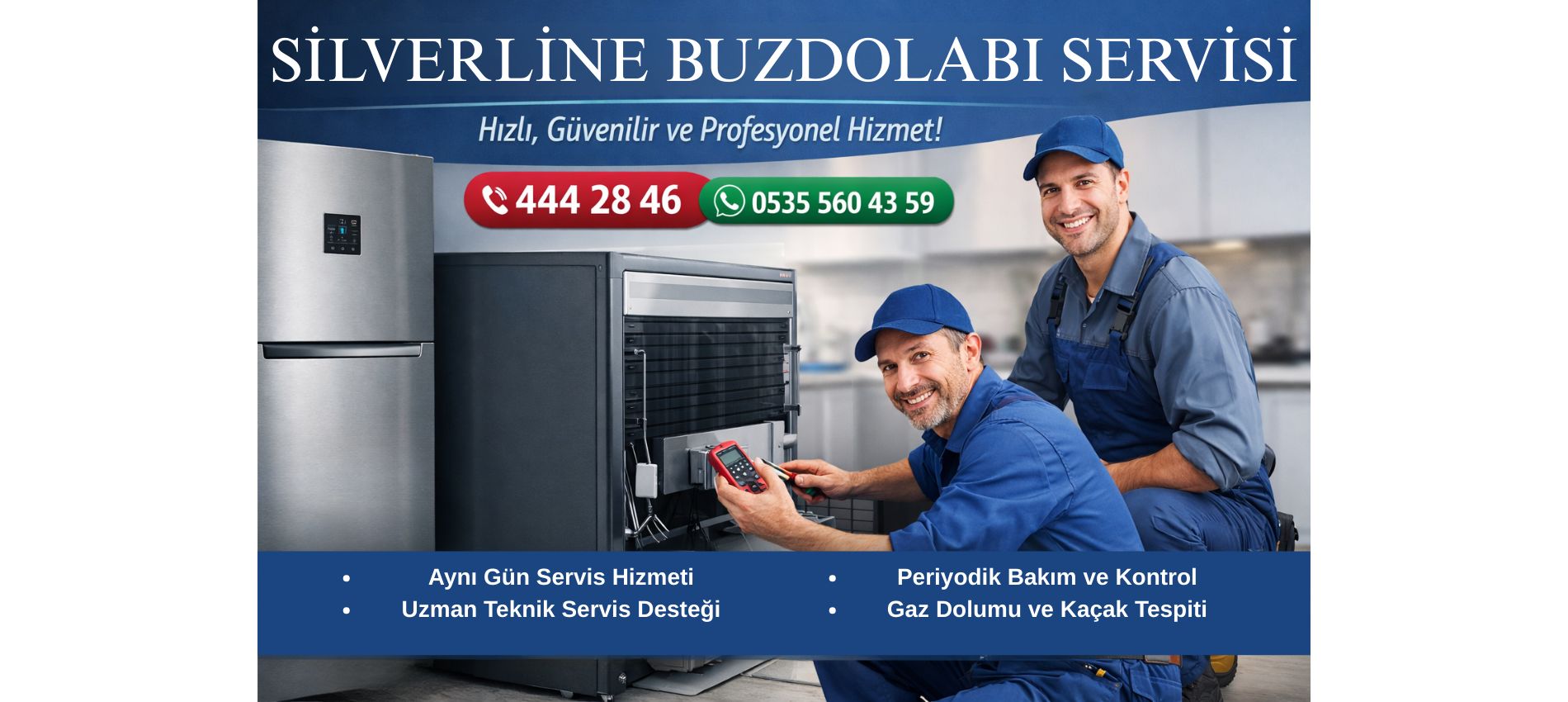 Silverline Buzdolabı Servisi